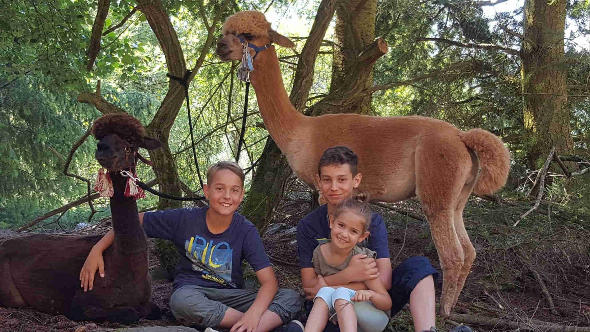 Foto mit Kindern die sich zu zwei Alpakas gesetzt haben